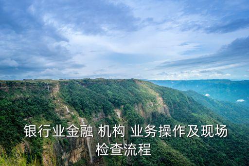  銀行業(yè)金融 機構 業(yè)務操作及現(xiàn)場檢查流程