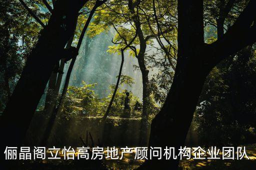 儷晶閣立怡高房地產(chǎn)顧問機(jī)構(gòu)企業(yè)團(tuán)隊(duì)