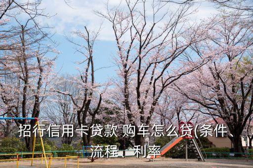 招行信用卡貸款 購車怎么貸(條件、流程、利率