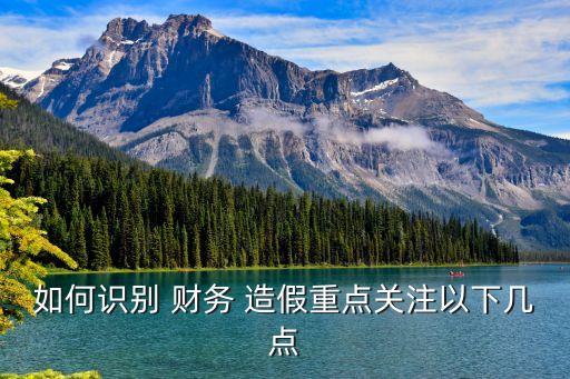 如何識別 財務(wù) 造假重點(diǎn)關(guān)注以下幾點(diǎn)