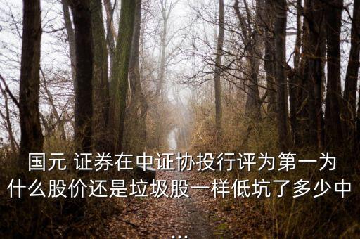  國元 證券在中證協(xié)投行評(píng)為第一為什么股價(jià)還是垃圾股一樣低坑了多少中...