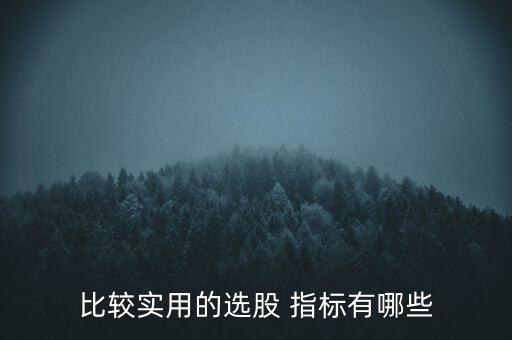 比較實(shí)用的選股 指標(biāo)有哪些