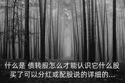 什么是 債轉(zhuǎn)股怎么才能認(rèn)識(shí)它什么股買(mǎi)了可以分紅或配股說(shuō)的詳細(xì)的...