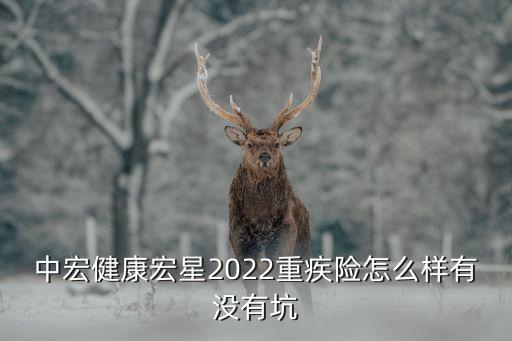 中宏健康宏星2022重疾險怎么樣有沒有坑