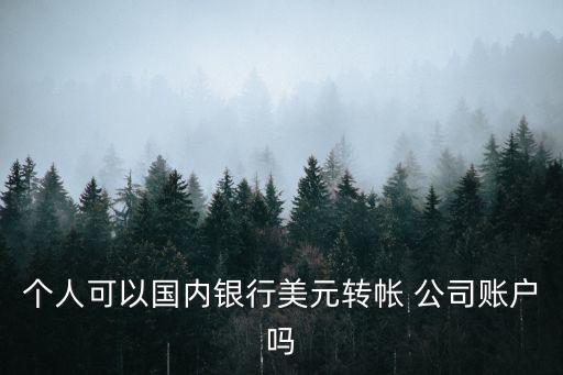 個(gè)人可以國內(nèi)銀行美元轉(zhuǎn)帳 公司賬戶嗎