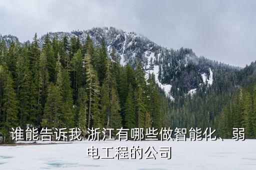誰能告訴我 浙江有哪些做智能化、弱電工程的公司