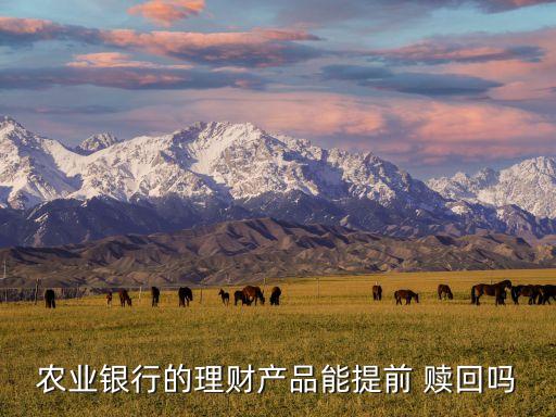 農(nóng)行基金可以隨時贖回,農(nóng)行活期理財(cái)可以隨時贖回嗎