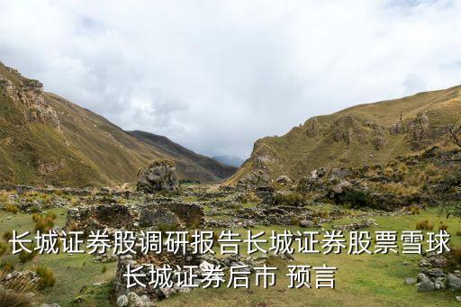 長城證券股調(diào)研報(bào)告長城證券股票雪球長城證券后市 預(yù)言