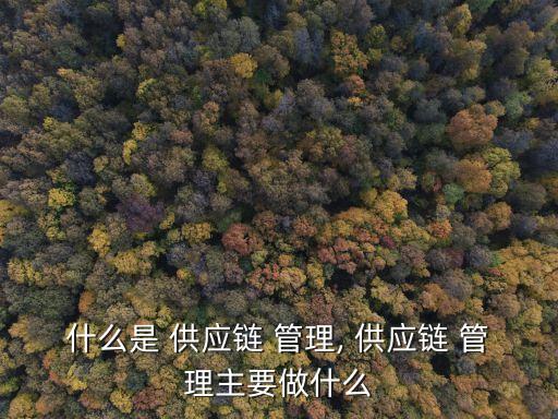 什么是 供應鏈 管理, 供應鏈 管理主要做什么