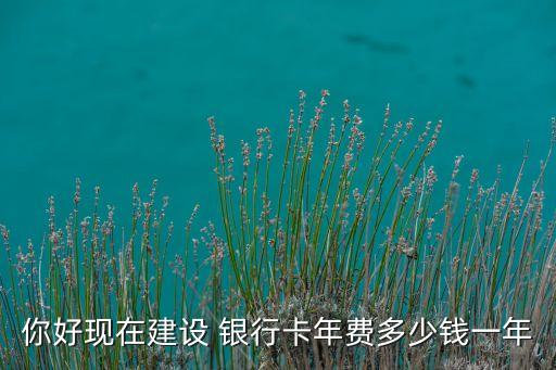 你好現(xiàn)在建設(shè) 銀行卡年費(fèi)多少錢一年