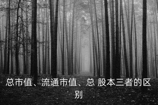 總市值、流通市值、總 股本三者的區(qū)別