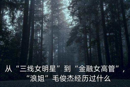 從“三線女明星”到“金融女高管”,“浪姐”毛俊杰經歷過什么