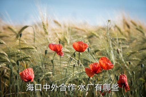?？谥型夂献?水廠有哪些