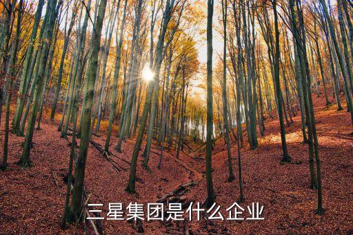 韓國(guó)三星公司的組織結(jié)構(gòu)