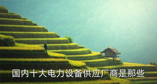 國內十大電力設備供應廠商是那些