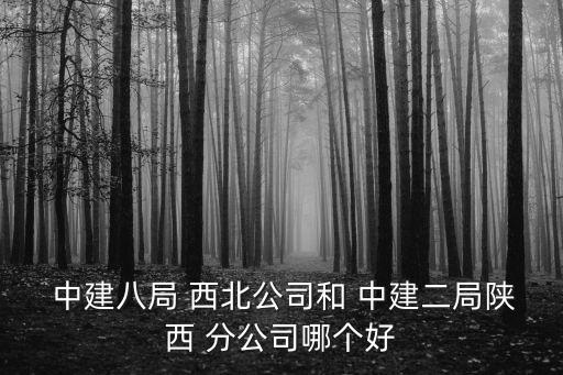  中建八局 西北公司和 中建二局陜西 分公司哪個(gè)好