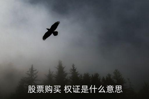  股票購買 權證是什么意思