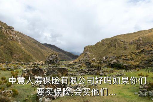  中意人壽保險(xiǎn)有限公司好嗎如果你們要買保險(xiǎn),會買他們...