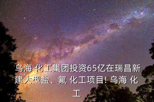 內(nèi)蒙古烏?；す煞萦邢薰?2023烏海化工股份有限公司