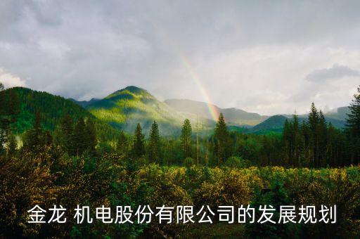  金龍 機電股份有限公司的發(fā)展規(guī)劃