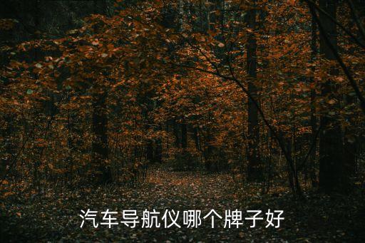 汽車導航儀哪個牌子好