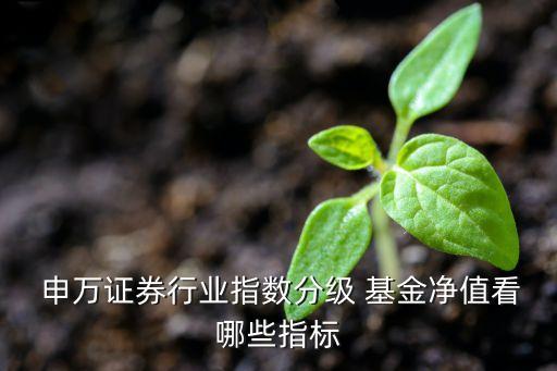  申萬證券行業(yè)指數分級 基金凈值看哪些指標