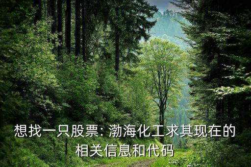 想找一只股票: 渤海化工求其現(xiàn)在的相關信息和代碼