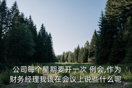  公司每個星期要開一次 例會,作為財務經理我該在會議上說些什么呢