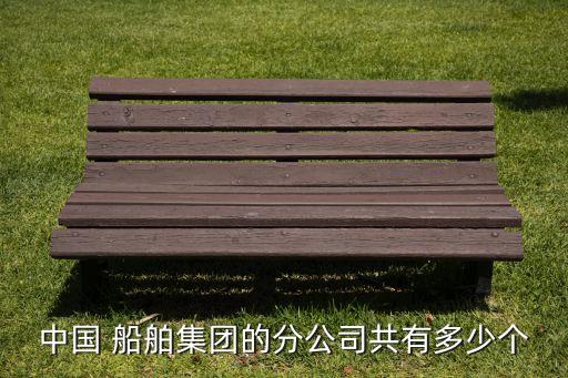 中國 船舶集團(tuán)的分公司共有多少個(gè)