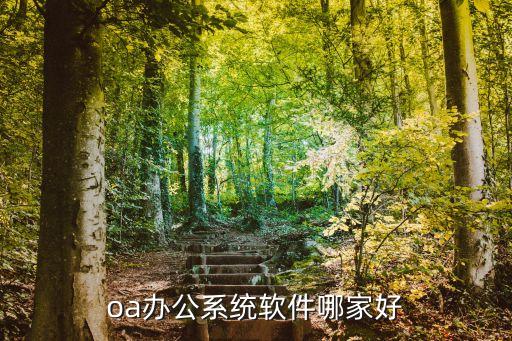 康躍科技股份有限公司OA,上海康躍化工科技有限公司