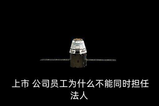  上市 公司員工為什么不能同時擔任法人