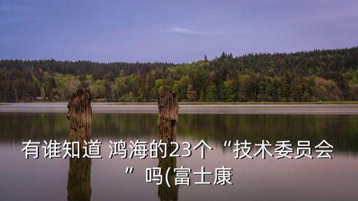 鴻海集團(tuán)股東,鴻?？萍技瘓F(tuán)股東