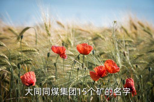  大同同煤集團(tuán)15個礦的名字