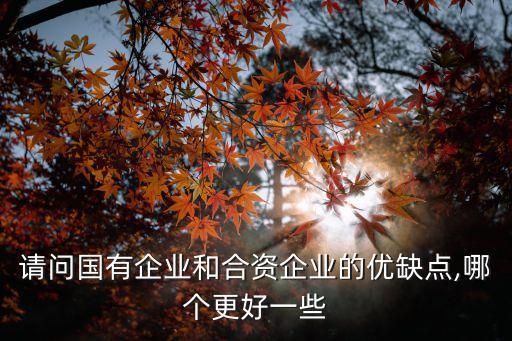 請問國有企業(yè)和合資企業(yè)的優(yōu)缺點(diǎn),哪個(gè)更好一些