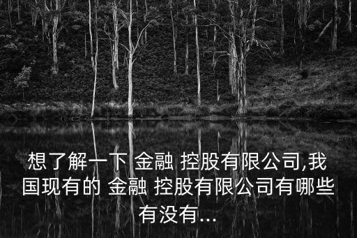 福州金融控股集團公司性質,中國光大金融控股集團公司