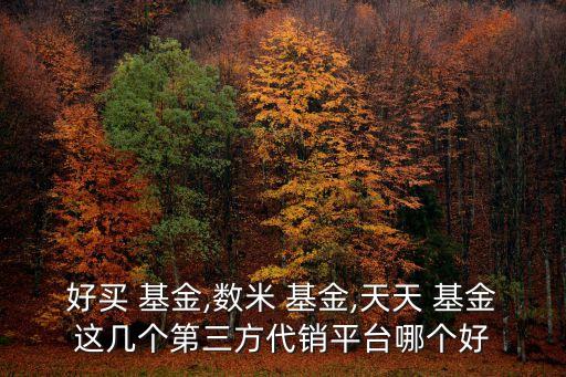 好買(mǎi) 基金,數(shù)米 基金,天天 基金這幾個(gè)第三方代銷(xiāo)平臺(tái)哪個(gè)好