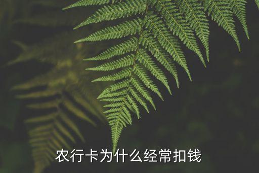 農(nóng)行卡為什么經(jīng)?？坼X