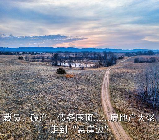 裁員、破產(chǎn)、債務(wù)壓頂……房地產(chǎn)大佬走到“懸崖邊”
