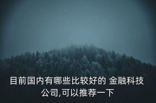 目前國內(nèi)有哪些比較好的 金融科技 公司,可以推薦一下