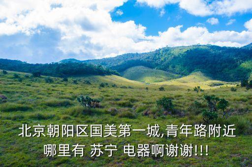  北京朝陽區(qū)國美第一城,青年路附近哪里有 蘇寧 電器啊謝謝!!!