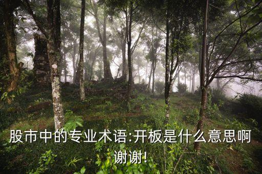 股市中的專業(yè)術(shù)語(yǔ):開板是什么意思啊謝謝!