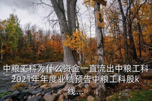 中糧工科為什么資金一直流出中糧工科2021年年度業(yè)績預告中糧工科股k線...
