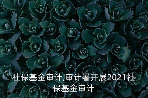 美國(guó)社?；饘徲?jì),審計(jì)署開展2021社?；饘徲?jì)