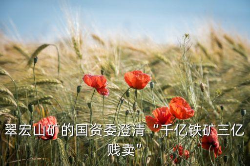 翠宏山礦的國資委澄清“千億鐵礦三億賤賣”