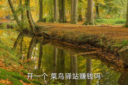 開(kāi)一個(gè) 菜鳥(niǎo)驛站賺錢(qián)嗎