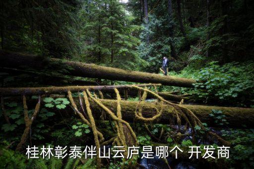  桂林彰泰伴山云廬是哪個(gè) 開發(fā)商