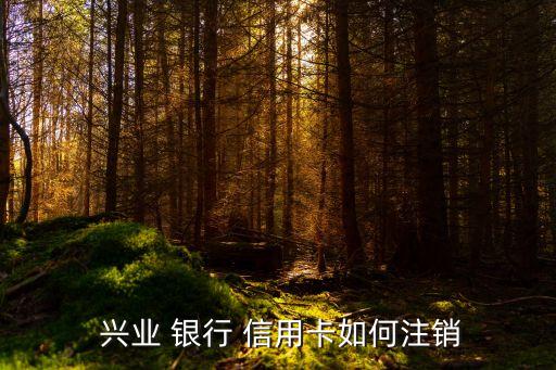  興業(yè) 銀行 信用卡如何注銷(xiāo)