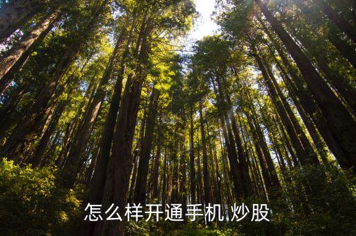 怎么樣開(kāi)通手機(jī) 炒股