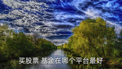 買(mǎi)股票 基金在哪個(gè)平臺(tái)最好