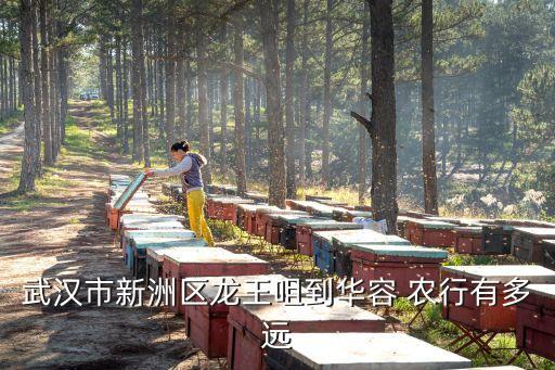 北京農(nóng)行岳華,北京岳華會計(jì)師事務(wù)所